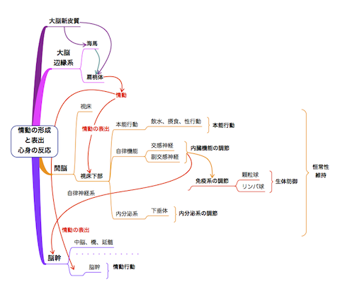 20170718情動の芽生えと表出
