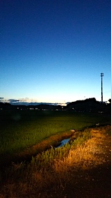 20170718山からの帰り道の様子田んぼ