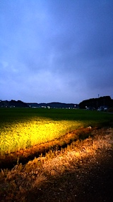 20170822������ε���ƻ���ͻ��Ĥ�ܤȶ�