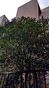 20171008ͻī⥯