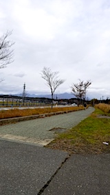 20171115外の様子昼前1