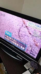 20171116NHKƥӽĻԤǽ¬Υ˥塼1