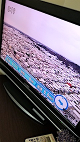 20171121NHKテレビ秋田市内の様子昼過ぎ