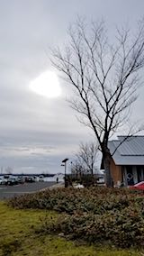 20180116外の様子昼過ぎ優雅宅舎1