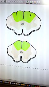 20180211Ƴϩ饹2