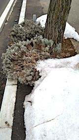 20180313�����ͻ�ī��ƻ�Υ�٥����