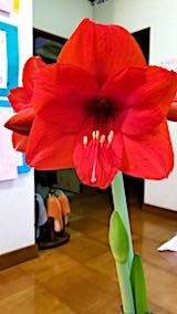 20180313���ޥ�ꥹ