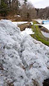 20180313�����ͻҽ��㤵�줿��