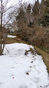 20180313��٥������Ȫ�ؤ�³���ޤʺ�ƻ���ͻ�