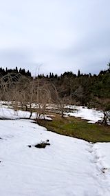 20180313Ȭ�ŹȻ޿����Τ�����̤ȥ�٥����Ȫ���ͻ�