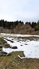 20180313��٥������Ȫ1