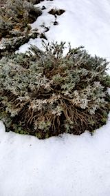 20180313��٥����Ȫ����餭��٥����������餵��