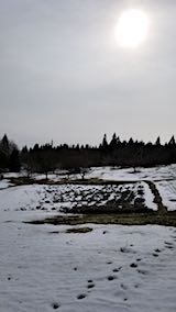 20180313��٥������Ȫ2