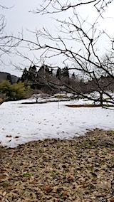 20180313��ΤȤ��Ϥ᤿��Ȫ����٥����Ȫ��˾��