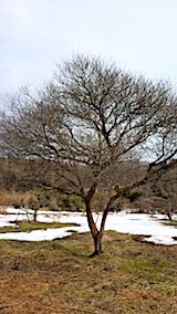 20180313�����ͻҲ��ߤ���