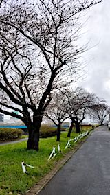 20180415ʿ褤κ