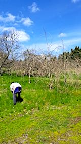 20180417ȬŹȻ޿Τ̤ͻ