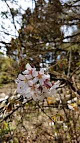 20180417ͻһ