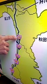 20180417NHKƥӽĺĴ2