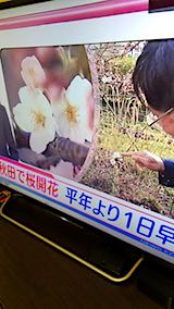 20180417NHKƥӽĤǺ1