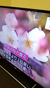 20180417NHKƥӽĤǺ2
