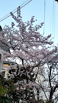 20180420β1