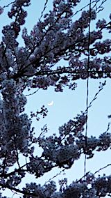 20180420β5