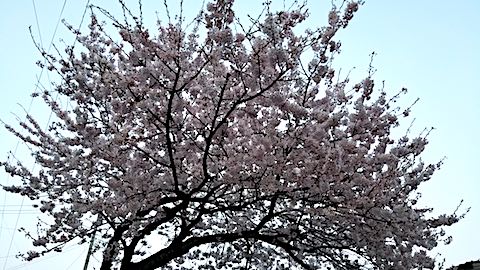 20180420β4