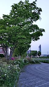 20180515®˾फ1