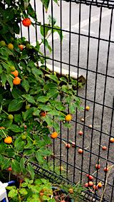 20180909��ޥܥ���2