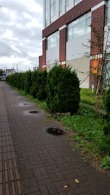 20180922夬Υ⥯5