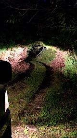 20180928ͻҿðŤˤʤ1
