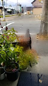 20181120ɥ˿ũ
