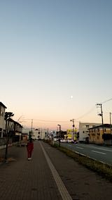 20181120®⤫εƻ˾ζ