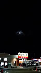 20181120㤤ʪ˾ޤͻ