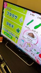 20181205ʴ륮ȿʪ륮δط2