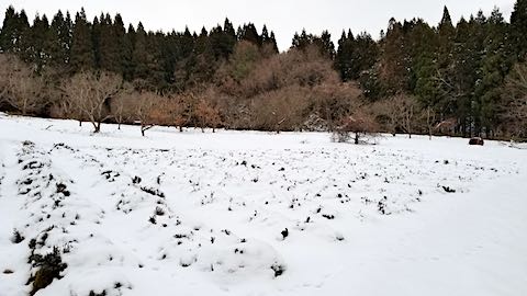 20181216٥Ȫͻ