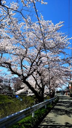 20190422ʿ褤κ綶2