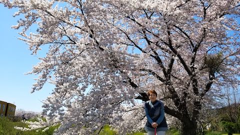 20190422ʿ褤κӿ1