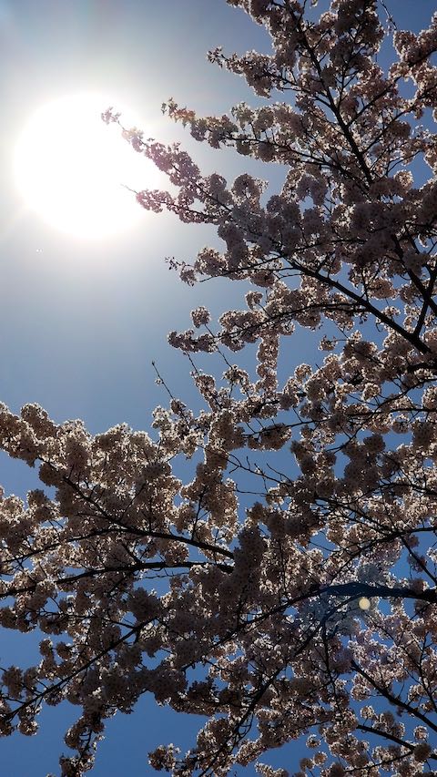 20190422ʿ褤κӿ2