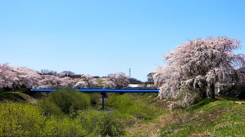 20190422ʿ褤κĲ϶褫˾1