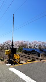 20190422ʿ褤κ޾ϩƧ
