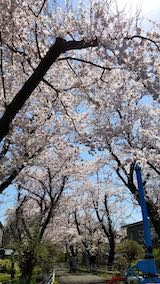 20190422ʿ褤κĻϩ