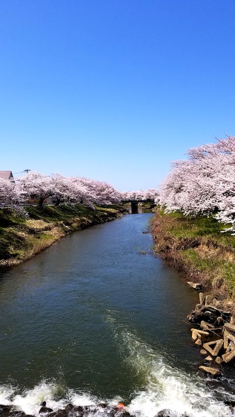 20190422ʿ褤κɴж1