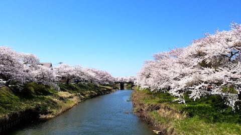 20190422ʿ褤κɴж2