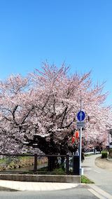 20190422ʿ褤κ沼ͤ¦