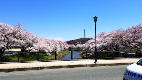 20190422ʿ褤κ沼1