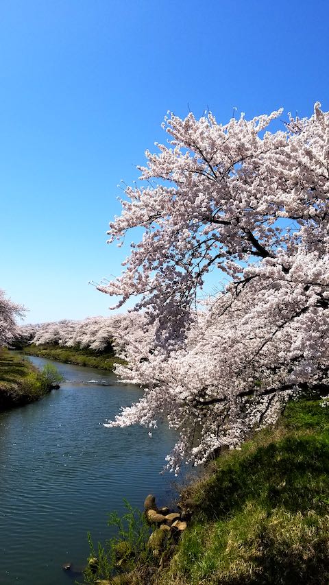 20190422ʿ褤κ沼3