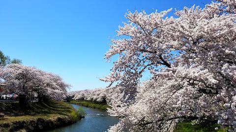 20190422ʿ褤κ沼4