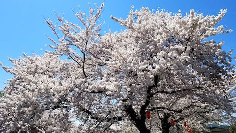 20190422ʿ褤κ沼5
